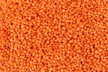 360_F_122861801_9n9WcrImIYrB8JI6Qz4mwEwfEFTtHuhG