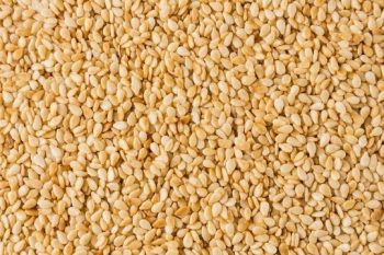 360_F_223134647_aQn5lLKJT1FG38z8eYDRb8oe46Y0AbAb