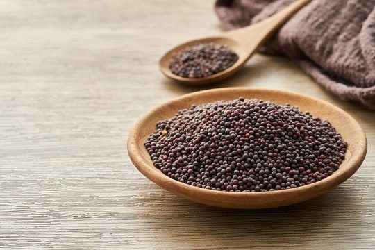 360_F_520957123_nwY7JoUecNqUlkxk7HNEYGiQEs0yBEZD