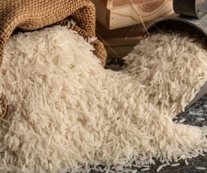 WhatsApp Image 2026-01-22 at 5.50.25 AM