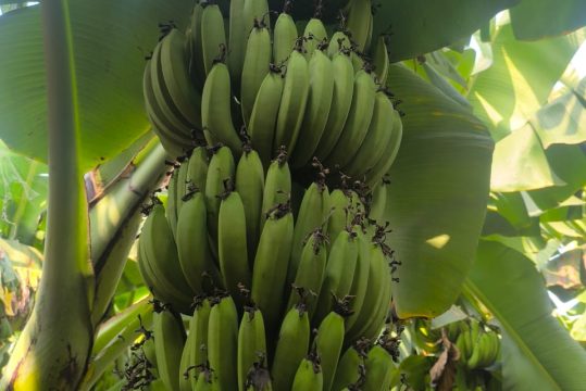 WhatsApp Image 2026-02-11 at 12.47.44 PM(1)