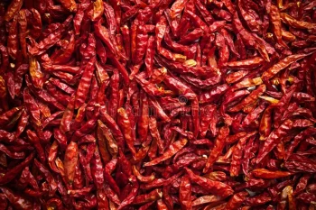 dry-chili-lot-dried-as-food-background-30376004